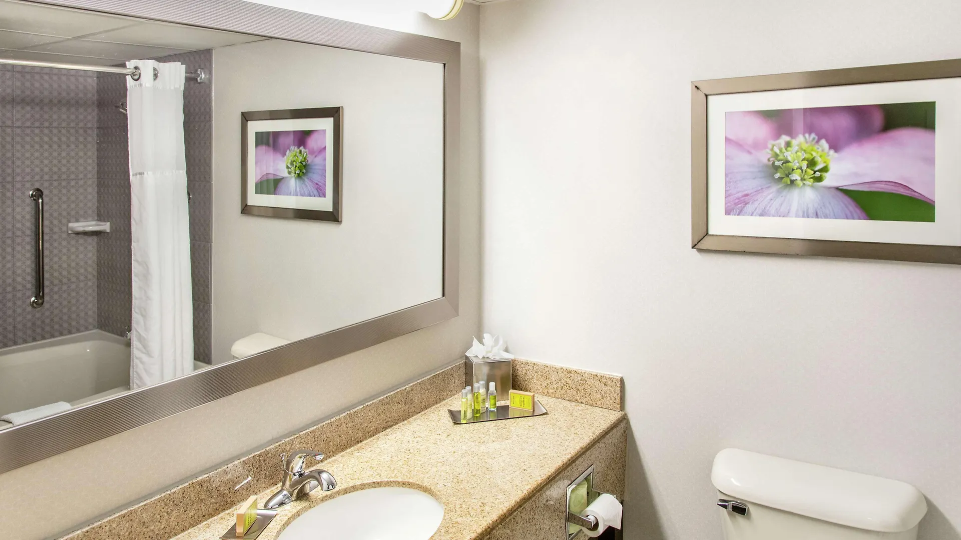 Отель Doubletree By Hilton Richmond - Мидлотиан США